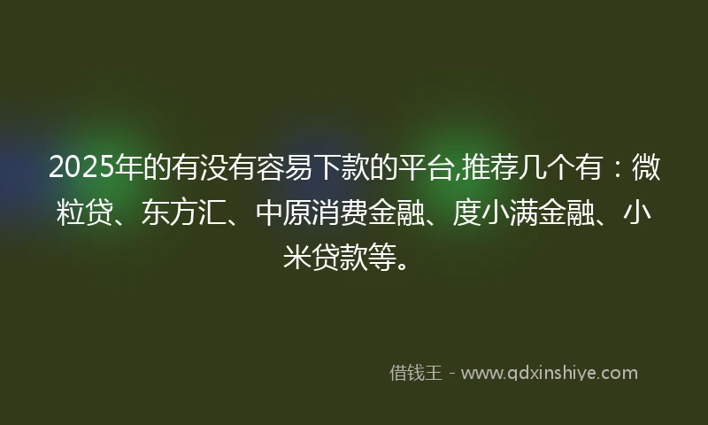 2025年的有没有容易下款的平台,推荐几个有：微粒贷、东方汇、中原消费金融、度小满金融、小米贷款等。