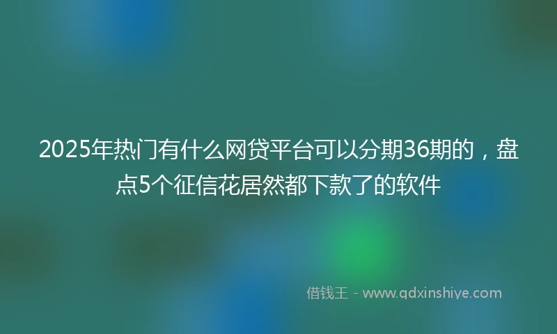 2025年热门有什么网贷平台可以分期36期的，盘点5个征信花居然都下款了的软件