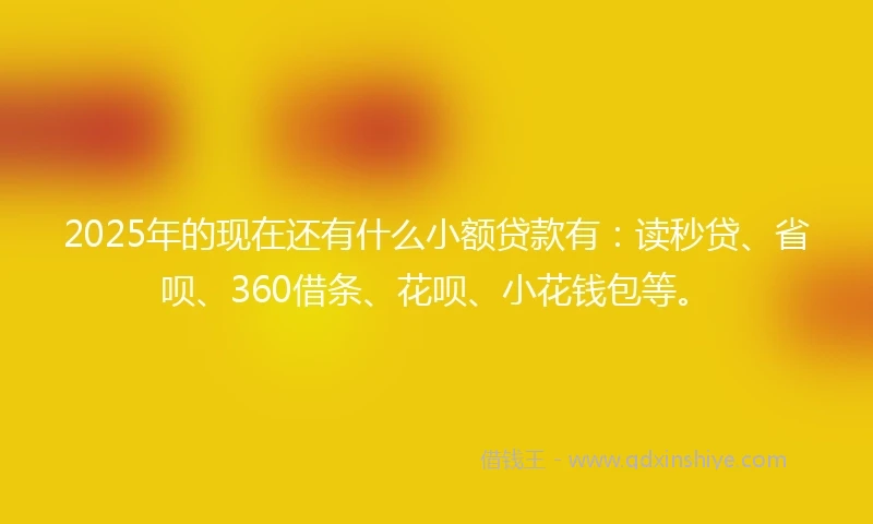 2025年的现在还有什么小额贷款有：读秒贷、省呗、360借条、花呗、小花钱包等。