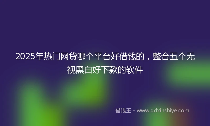 2025年热门网贷哪个平台好借钱的，整合五个无视黑白好下款的软件