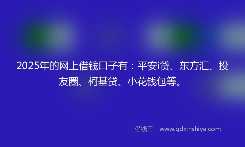 2025年的网上借钱口子有：平安i贷、东方汇、投友圈、柯基贷、小花钱包等。