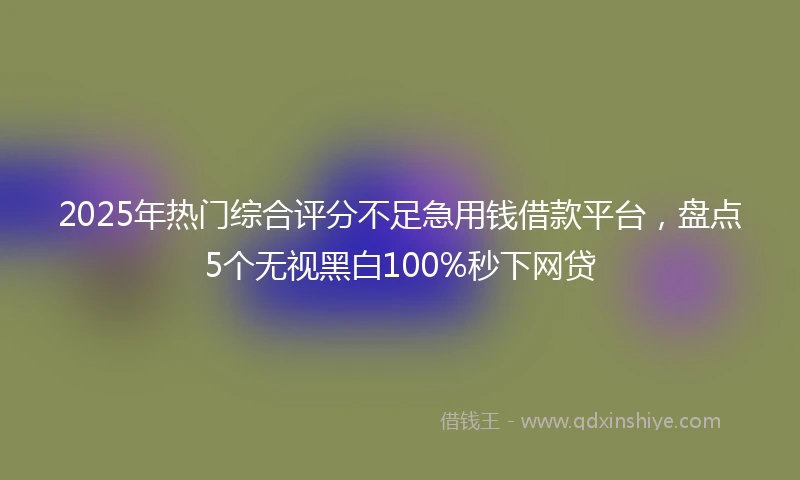 2025年热门综合评分不足急用钱借款平台，盘点5个无视黑白100%秒下网贷