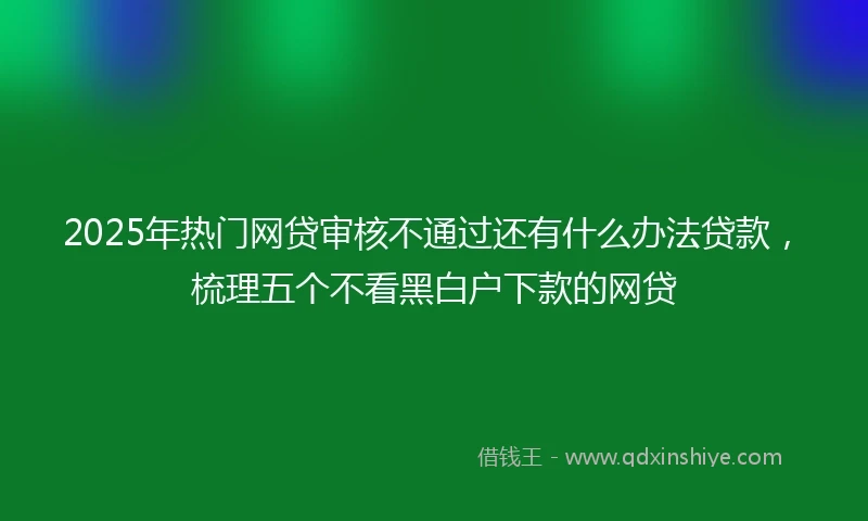 2025年热门网贷审核不通过还有什么办法贷款，梳理五个不看黑白户下款的网贷