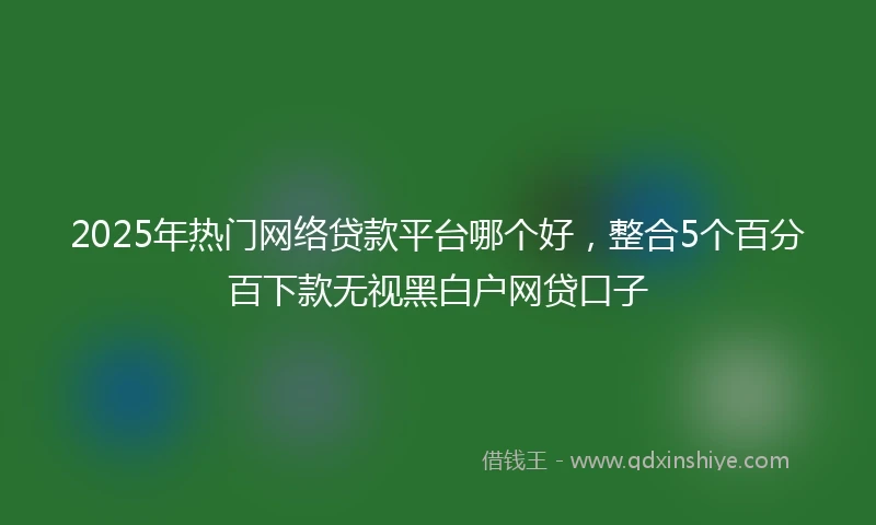 2025年热门网络贷款平台哪个好，整合5个百分百下款无视黑白户网贷口子