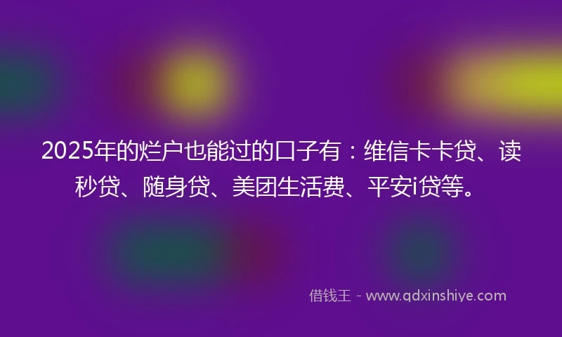 2025年的烂户也能过的口子有：维信卡卡贷、读秒贷、随身贷、美团生活费、平安i贷等。