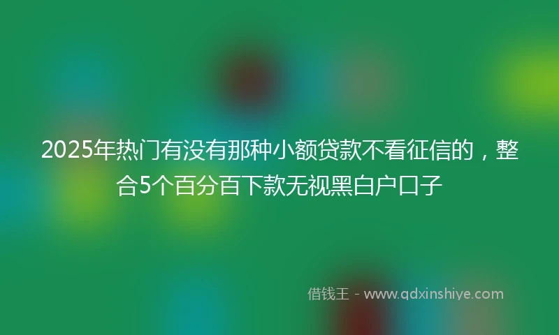 2025年热门有没有那种小额贷款不看征信的，整合5个百分百下款无视黑白户口子