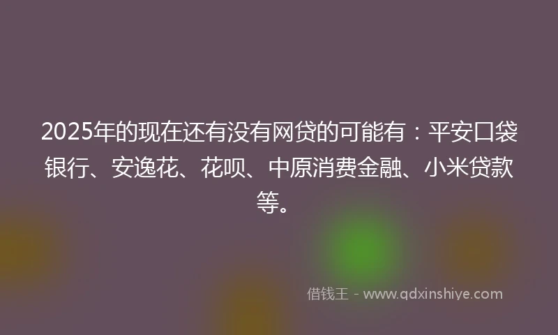 2025年的现在还有没有网贷的可能有：平安口袋银行、安逸花、花呗、中原消费金融、小米贷款等。
