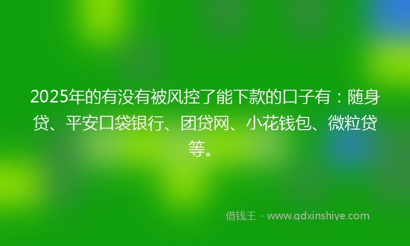 2025年的有没有被风控了能下款的口子有：随身贷、平安口袋银行、团贷网、小花钱包、微粒贷等。