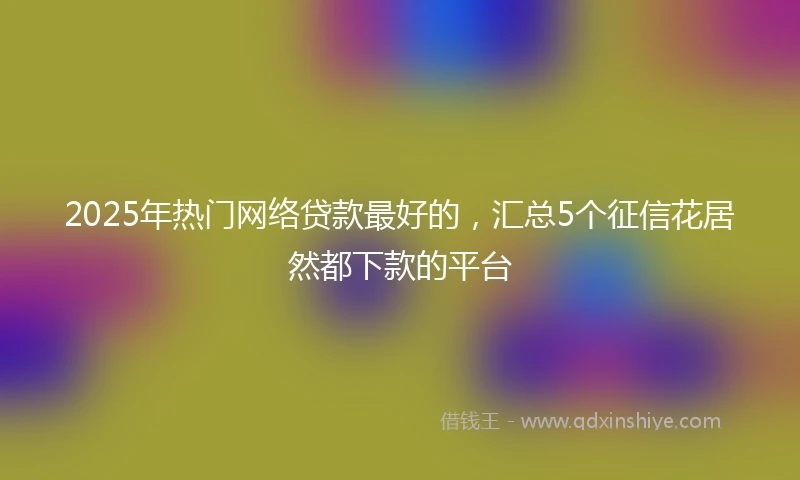 2025年热门网络贷款最好的，汇总5个征信花居然都下款的平台