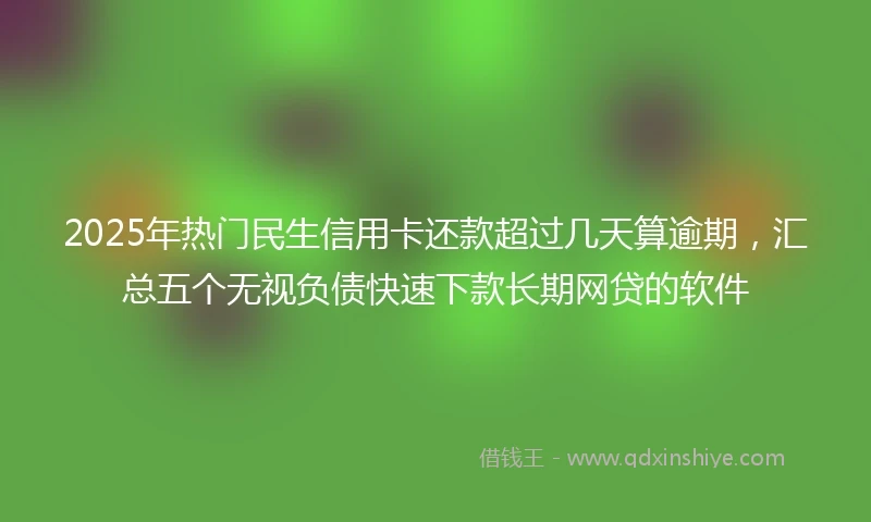 2025年热门民生信用卡还款超过几天算逾期，汇总五个无视负债快速下款长期网贷的软件