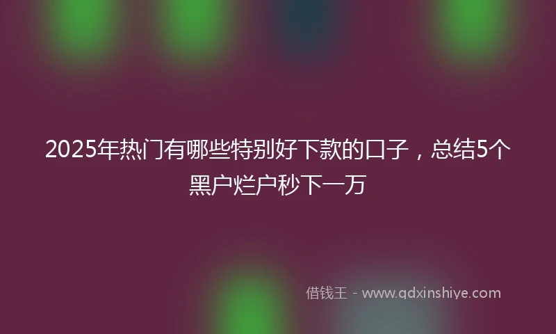 2025年热门有哪些特别好下款的口子，总结5个黑户烂户秒下一万