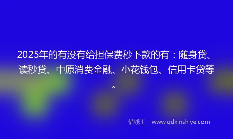 2025年的有没有给担保费秒下款的有：随身贷、读秒贷、中原消费金融、小花钱包、信用卡贷等。