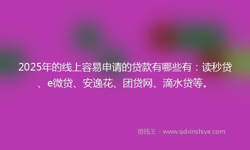 2025年的线上容易申请的贷款有哪些有：读秒贷、e微贷、安逸花、团贷网、滴水贷等。