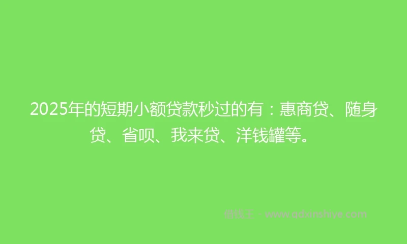 2025年的短期小额贷款秒过的有：惠商贷、随身贷、省呗、我来贷、洋钱罐等。