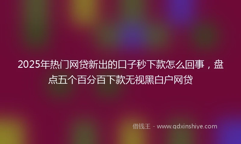 2025年热门网贷新出的口子秒下款怎么回事，盘点五个百分百下款无视黑白户网贷