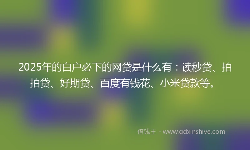 2025年的白户必下的网贷是什么有：读秒贷、拍拍贷、好期贷、百度有钱花、小米贷款等。