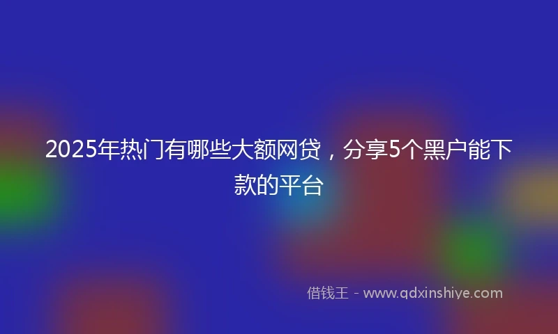 2025年热门有哪些大额网贷，分享5个黑户能下款的平台