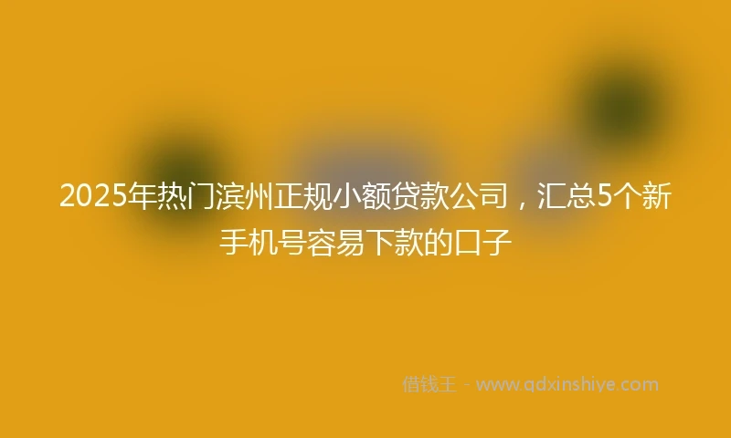 2025年热门滨州正规小额贷款公司，汇总5个新手机号容易下款的口子