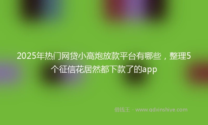 2025年热门网贷小高炮放款平台有哪些，整理5个征信花居然都下款了的app