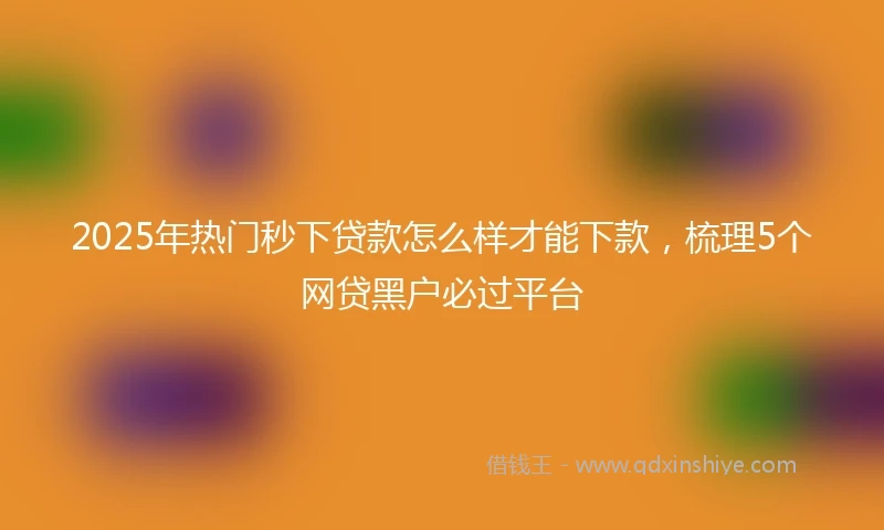 2025年热门秒下贷款怎么样才能下款，梳理5个网贷黑户必过平台