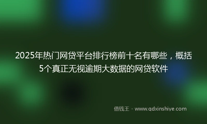 2025年热门网贷平台排行榜前十名有哪些，概括5个真正无视逾期大数据的网贷软件