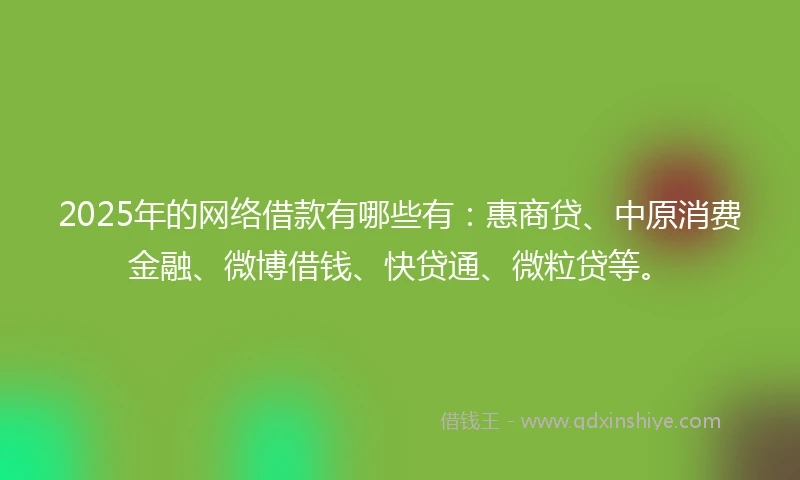 2025年的网络借款有哪些有：惠商贷、中原消费金融、微博借钱、快贷通、微粒贷等。