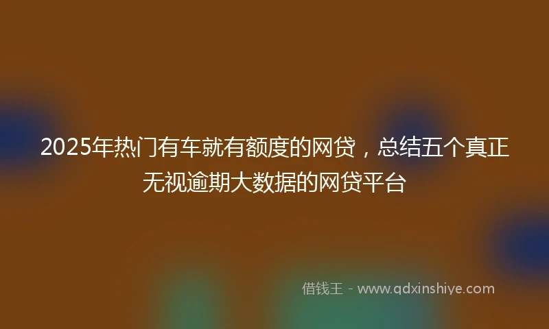 2025年热门有车就有额度的网贷，总结五个真正无视逾期大数据的网贷平台