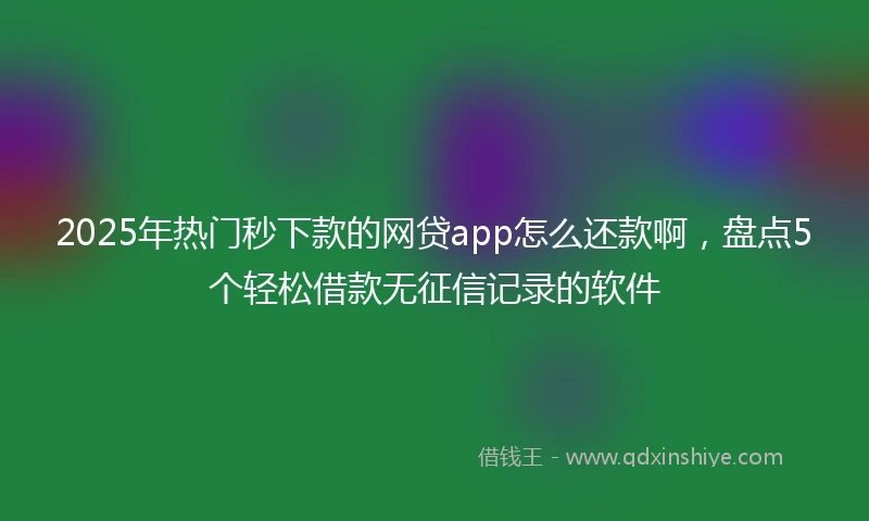 2025年热门秒下款的网贷app怎么还款啊，盘点5个轻松借款无征信记录的软件