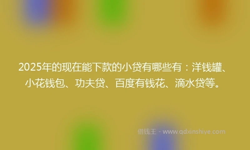 2025年的现在能下款的小贷有哪些有：洋钱罐、小花钱包、功夫贷、百度有钱花、滴水贷等。