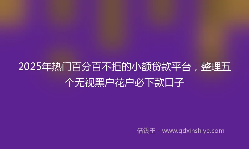 2025年热门百分百不拒的小额贷款平台，整理五个无视黑户花户必下款口子