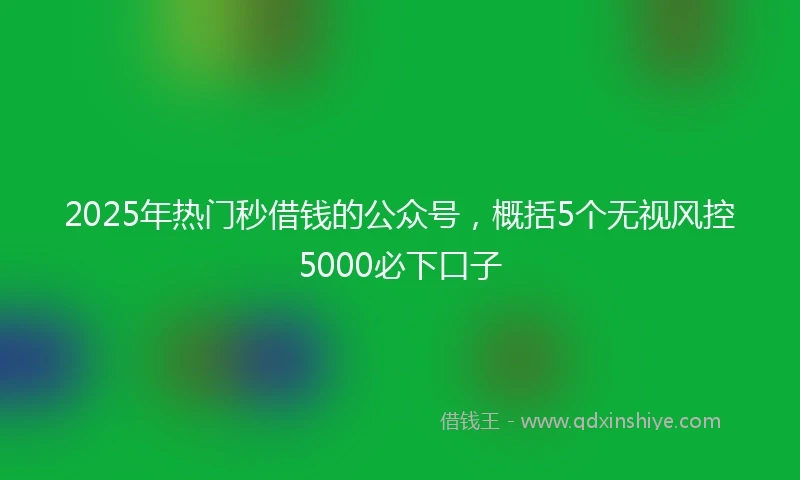 2025年热门秒借钱的公众号，概括5个无视风控5000必下口子