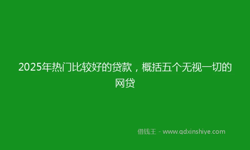 2025年热门比较好的贷款，概括五个无视一切的网贷