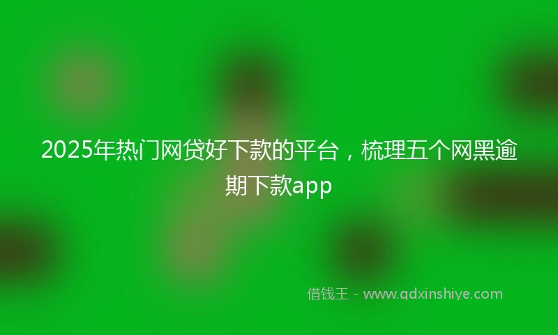 2025年热门网贷好下款的平台，梳理五个网黑逾期下款app