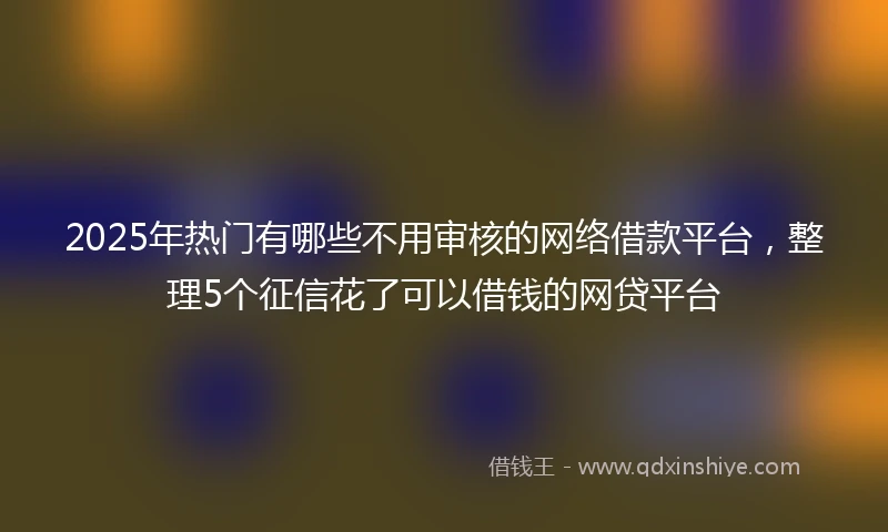 2025年热门有哪些不用审核的网络借款平台，整理5个征信花了可以借钱的网贷平台