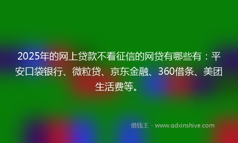 2025年的网上贷款不看征信的网贷有哪些有:平安口袋银行、微粒贷、京东金融、360借条、美团生活费等。