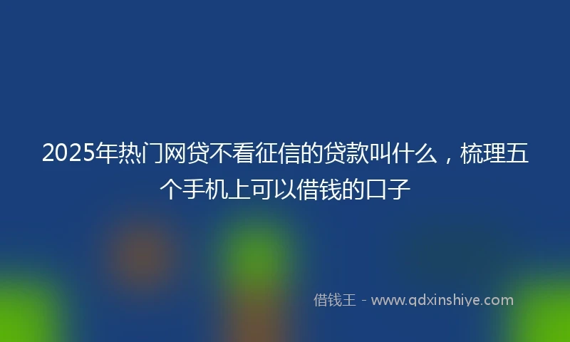 2025年热门网贷不看征信的贷款叫什么，梳理五个手机上可以借钱的口子