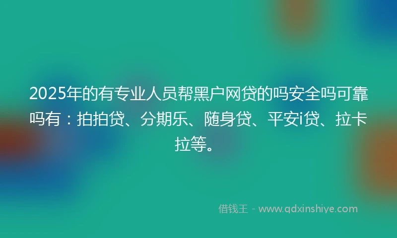 2025年的有专业人员帮黑户网贷的吗安全吗可靠吗有：拍拍贷、分期乐、随身贷、平安i贷、拉卡拉等。