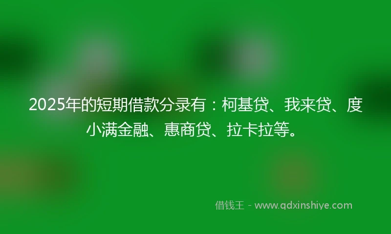 2025年的短期借款分录有：柯基贷、我来贷、度小满金融、惠商贷、拉卡拉等。