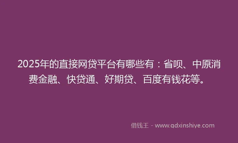 2025年的直接网贷平台有哪些有：省呗、中原消费金融、快贷通、好期贷、百度有钱花等。