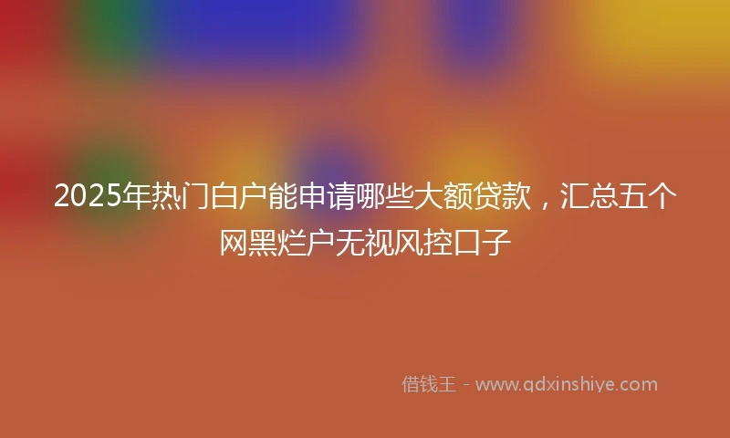 2025年热门白户能申请哪些大额贷款，汇总五个网黑烂户无视风控口子