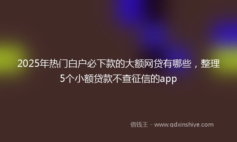 2025年热门白户必下款的大额网贷有哪些，整理5个小额贷款不查征信的app