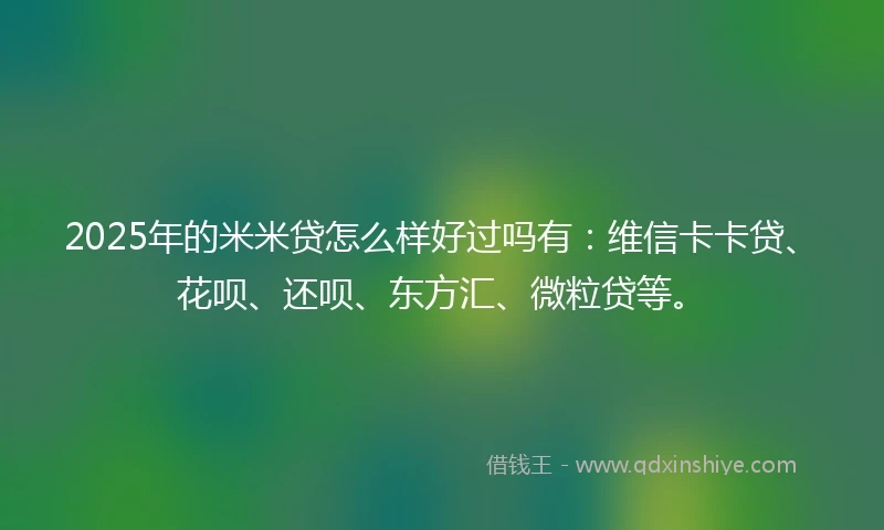 2025年的米米贷怎么样好过吗有：维信卡卡贷、花呗、还呗、东方汇、微粒贷等。