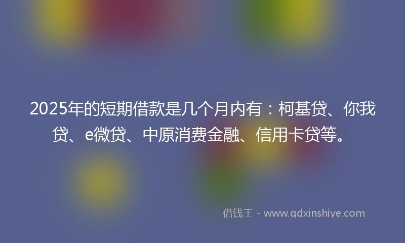 2025年的短期借款是几个月内有：柯基贷、你我贷、e微贷、中原消费金融、信用卡贷等。