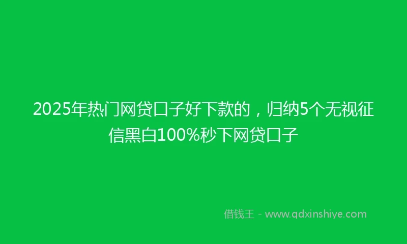 2025年热门网贷口子好下款的，归纳5个无视征信黑白100%秒下网贷口子