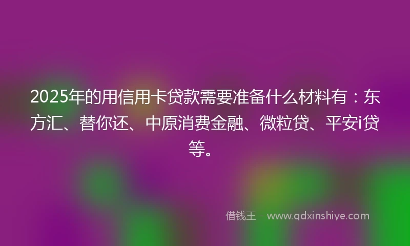 2025年的用信用卡贷款需要准备什么材料有：东方汇、替你还、中原消费金融、微粒贷、平安i贷等。