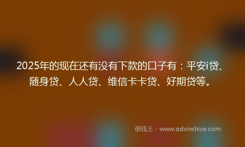 2025年的现在还有没有下款的口子有：平安i贷、随身贷、人人贷、维信卡卡贷、好期贷等。