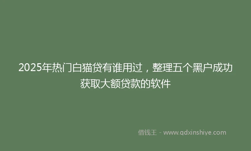 2025年热门白猫贷有谁用过，整理五个黑户成功获取大额贷款的软件