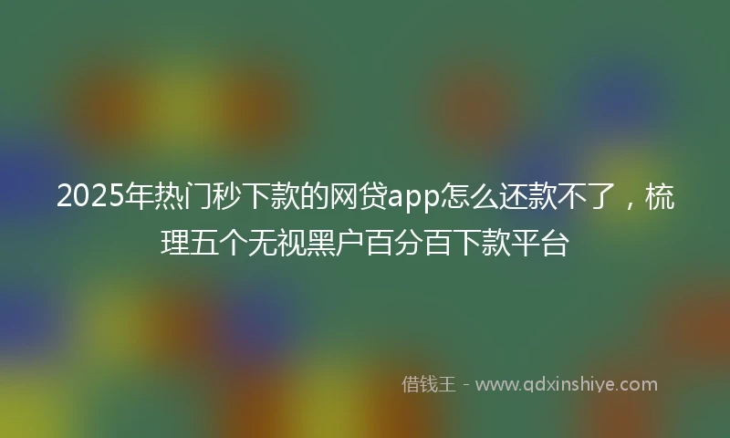 2025年热门秒下款的网贷app怎么还款不了，梳理五个无视黑户百分百下款平台