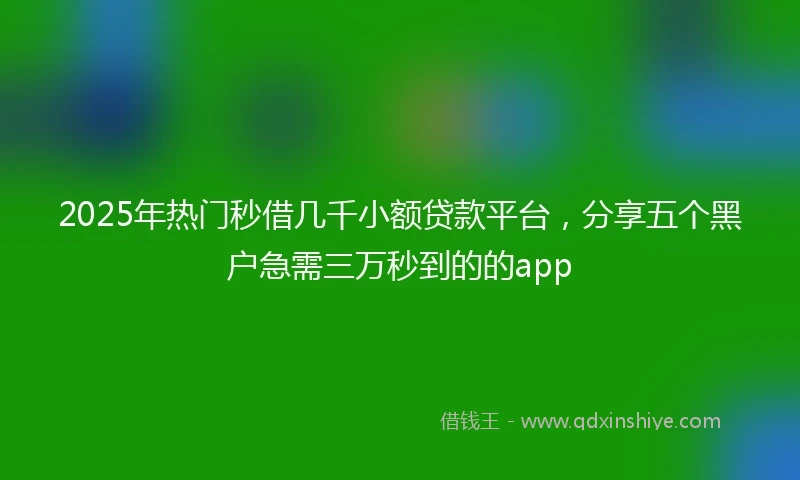 2025年热门秒借几千小额贷款平台，分享五个黑户急需三万秒到的的app