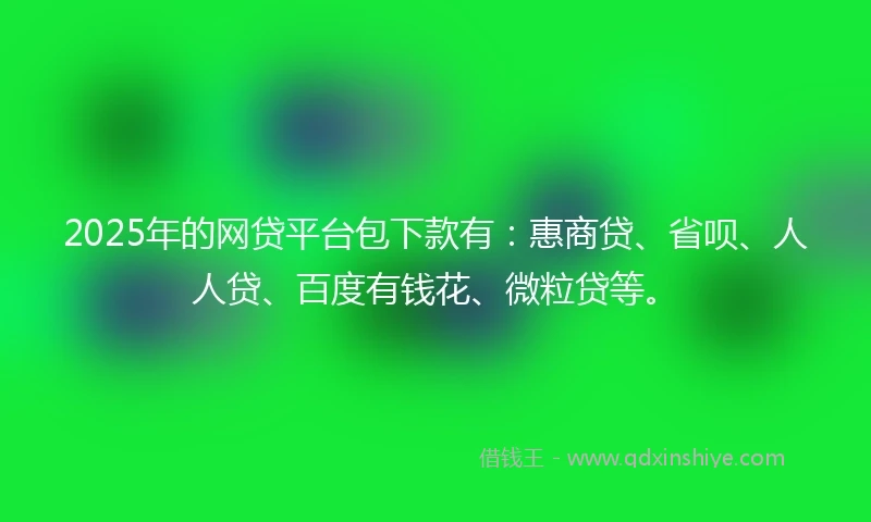 2025年的网贷平台包下款有：惠商贷、省呗、人人贷、百度有钱花、微粒贷等。